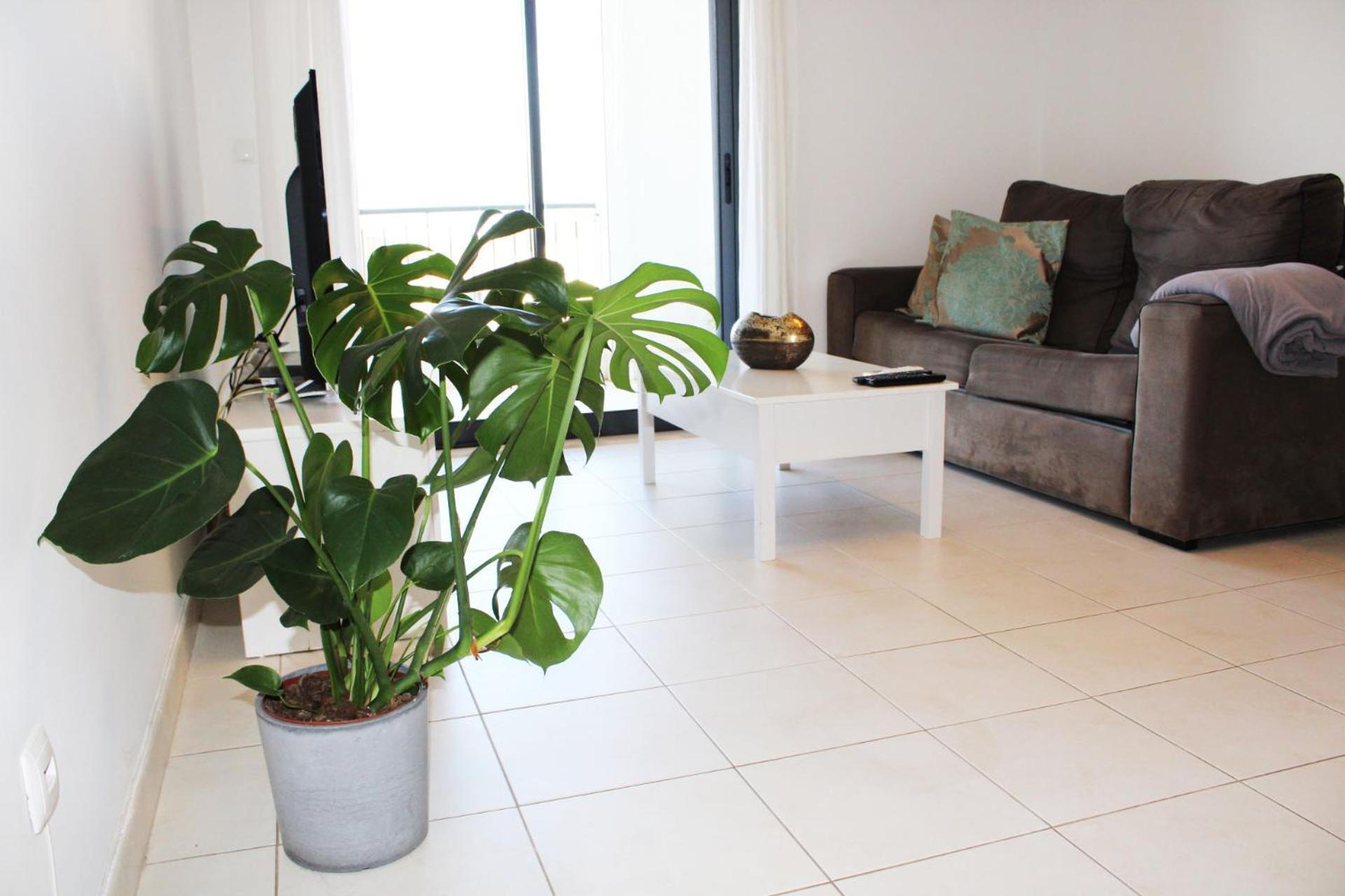Apartment With Terrace Albufeira Olhos De Agua Zewnętrze zdjęcie